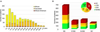 Transfusional Approach in Multi-Ethnic Sickle Cell Patients: Real-World Practice Data From a Multicenter Survey in Italy